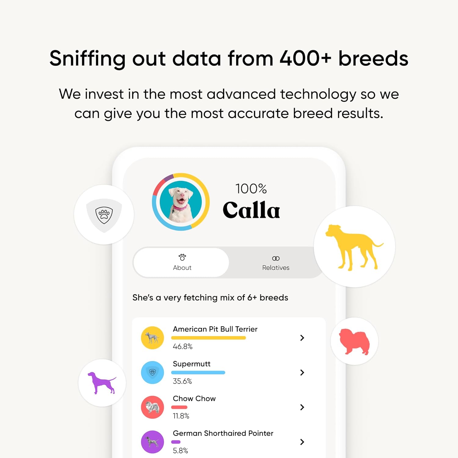 Embark Vet Breed Identification Kit: Most Accurate Dog DNA Test