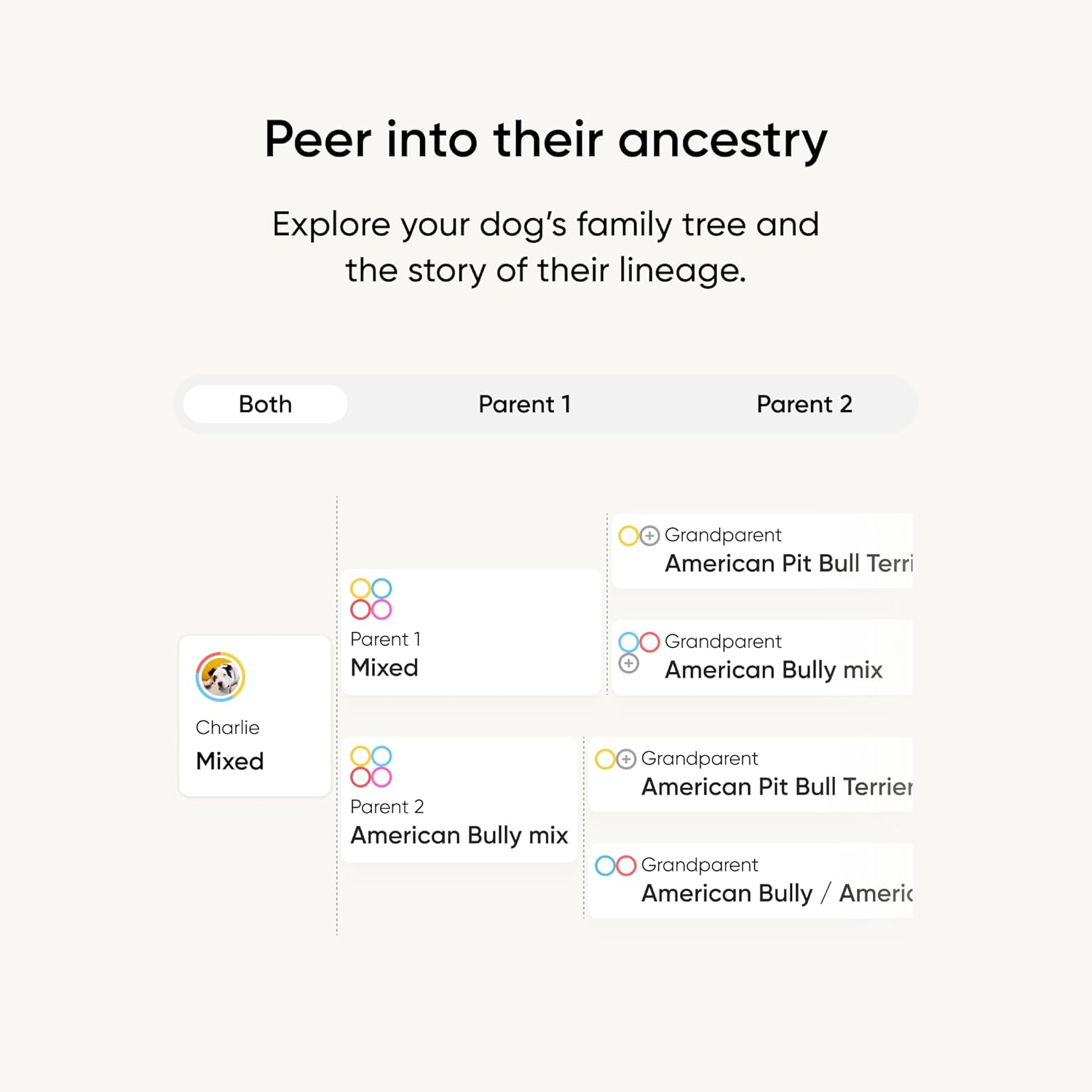 Embark Vet Breed Identification Kit: Most Accurate Dog DNA Test