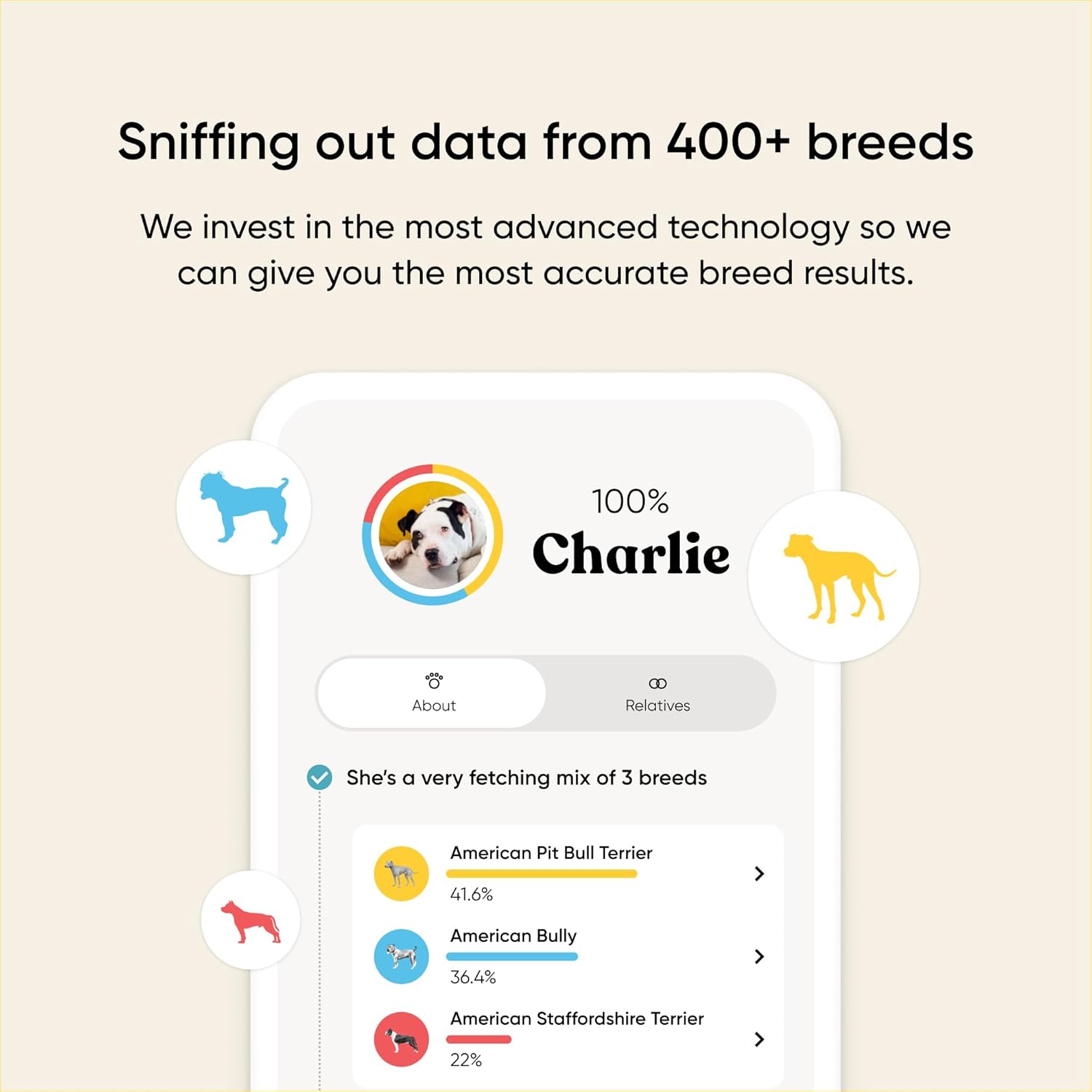 Embark Vet Breed & Health Dog DNA Test – Discover Your Dog's Secrets