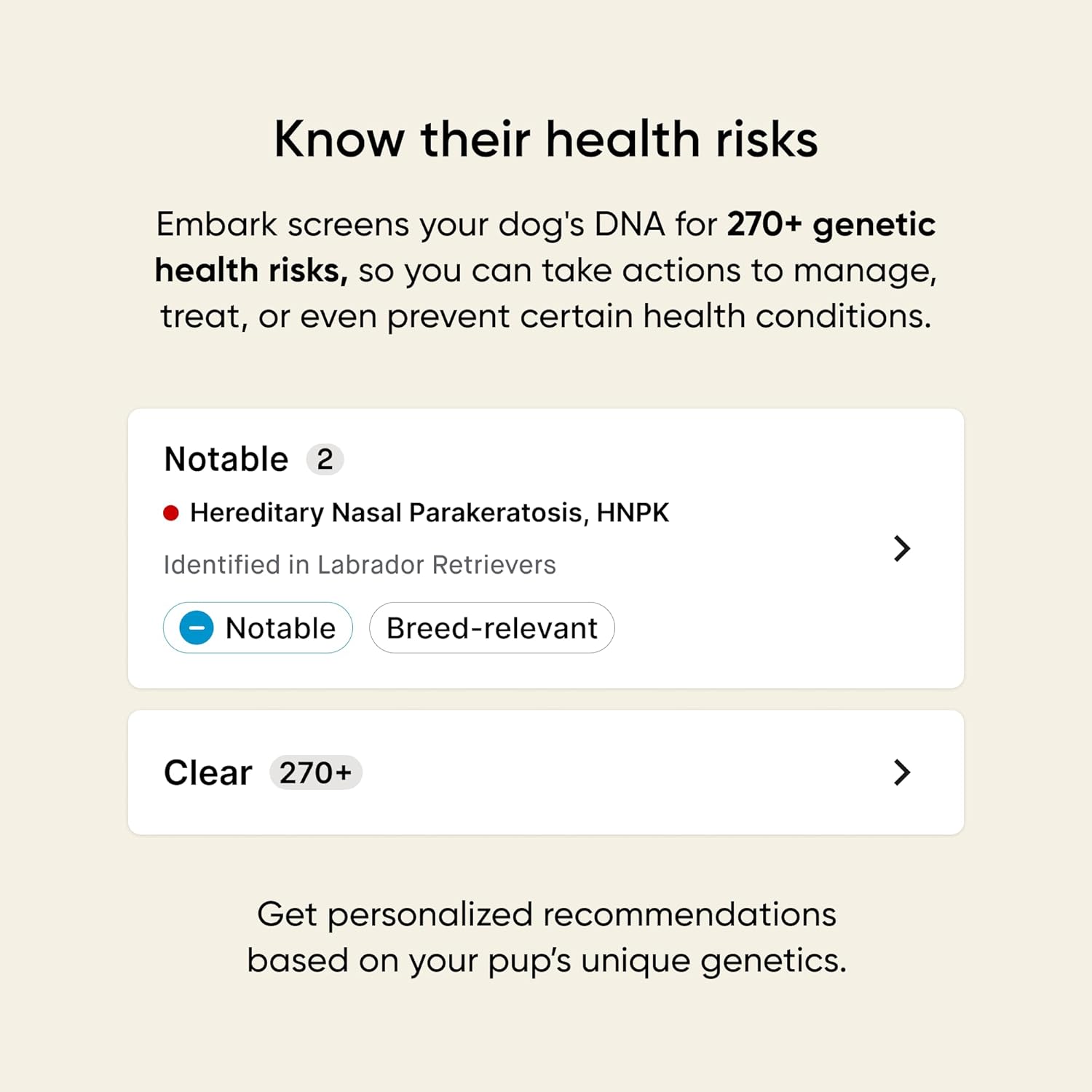 Embark Vet Breed & Health Dog DNA Test – Discover Your Dog's Secrets