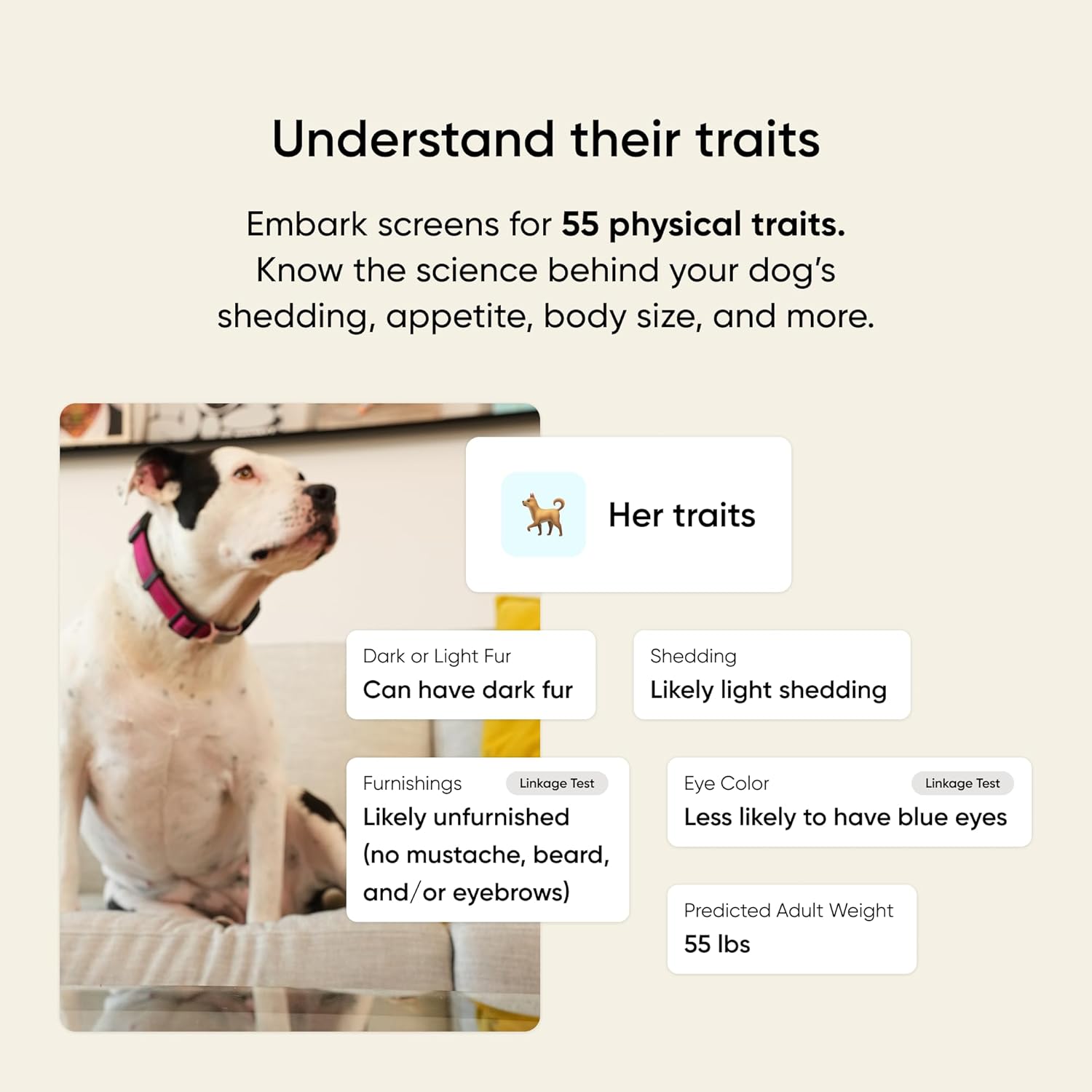 Embark Vet Breed & Health Dog DNA Test – Discover Your Dog's Secrets