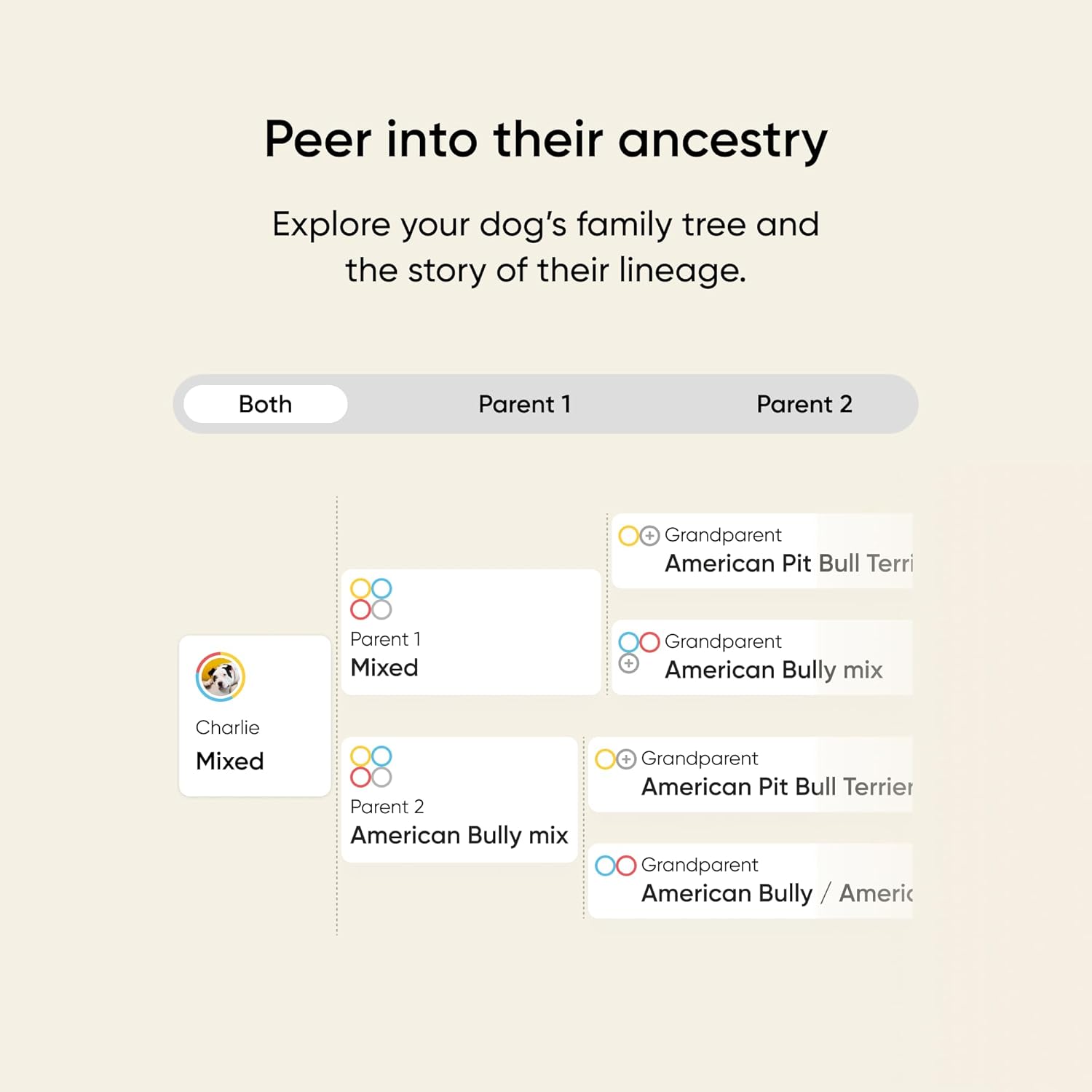Embark Vet Breed & Health Dog DNA Test – Discover Your Dog's Secrets