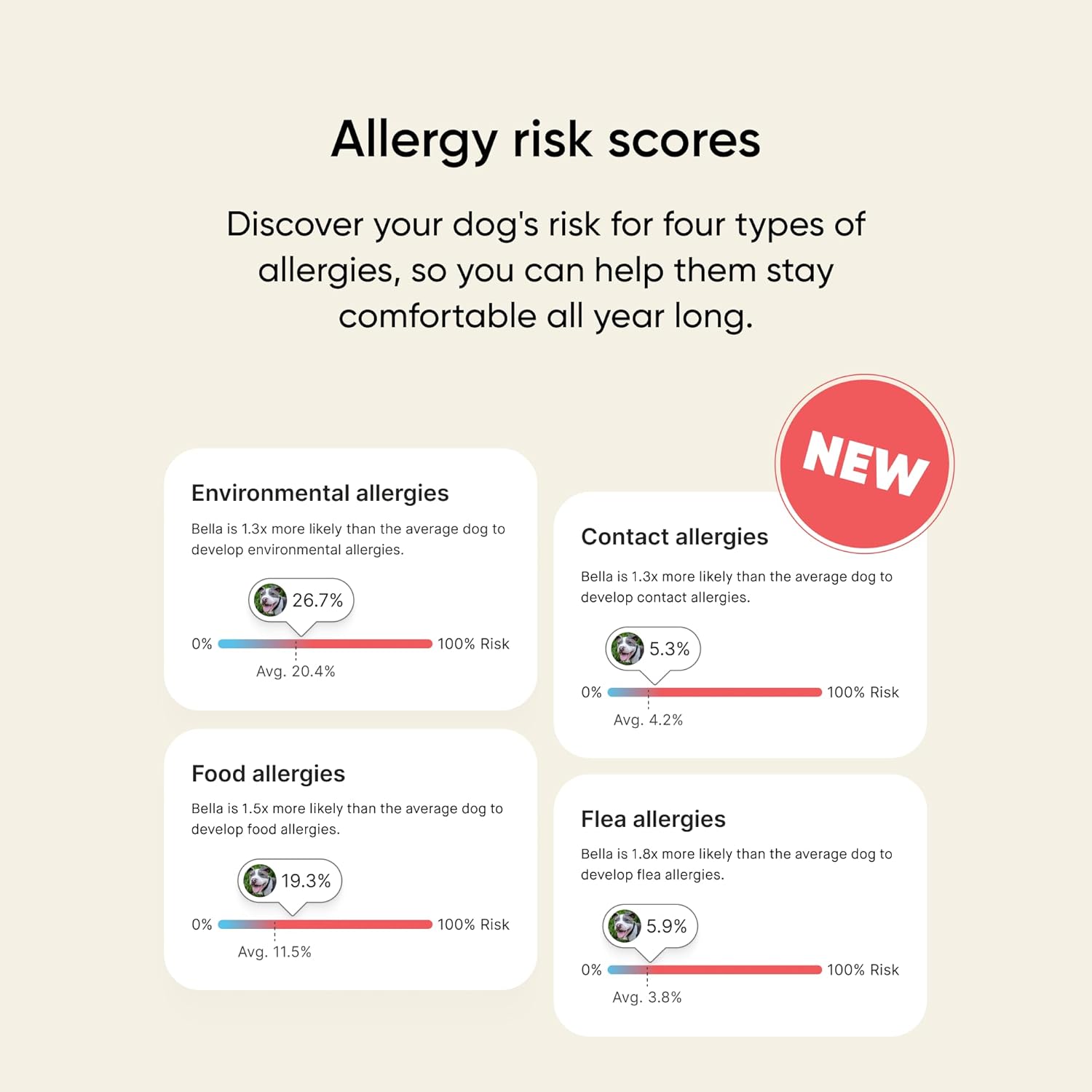 Embark Vet Breed & Health Dog DNA Test – Discover Your Dog's Secrets