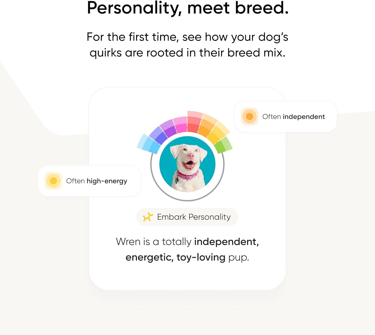Embark Vet Breed & Health Dog DNA Test – Discover Your Dog's Secrets