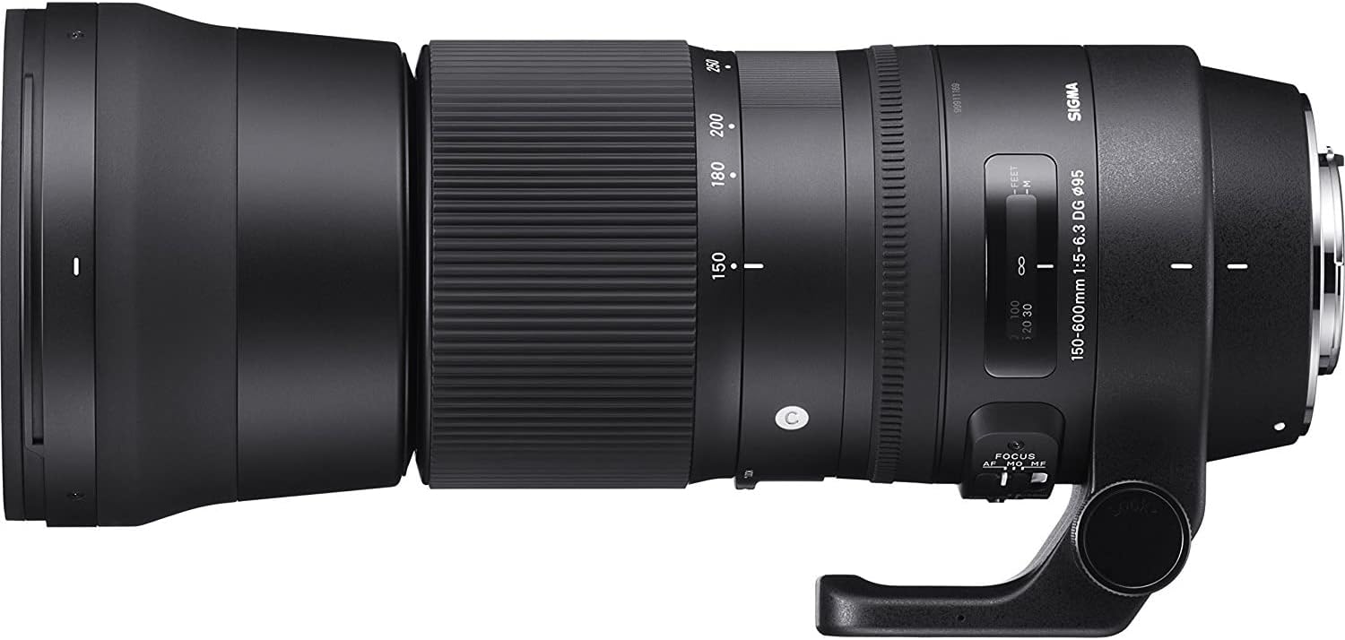 Walkers Sigma 150-600mm Lens for Nikon: Reach Further