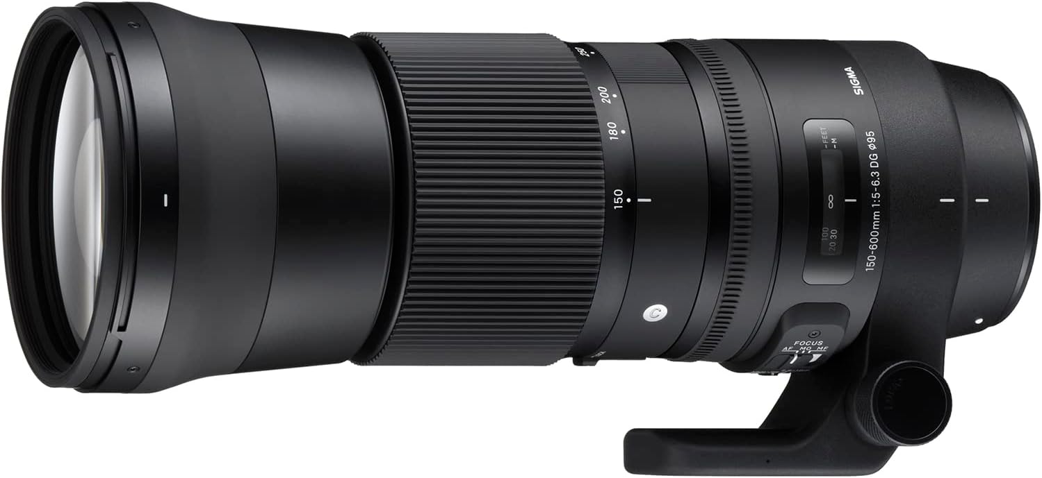 Walkers Sigma 150-600mm Lens for Nikon: Reach Further
